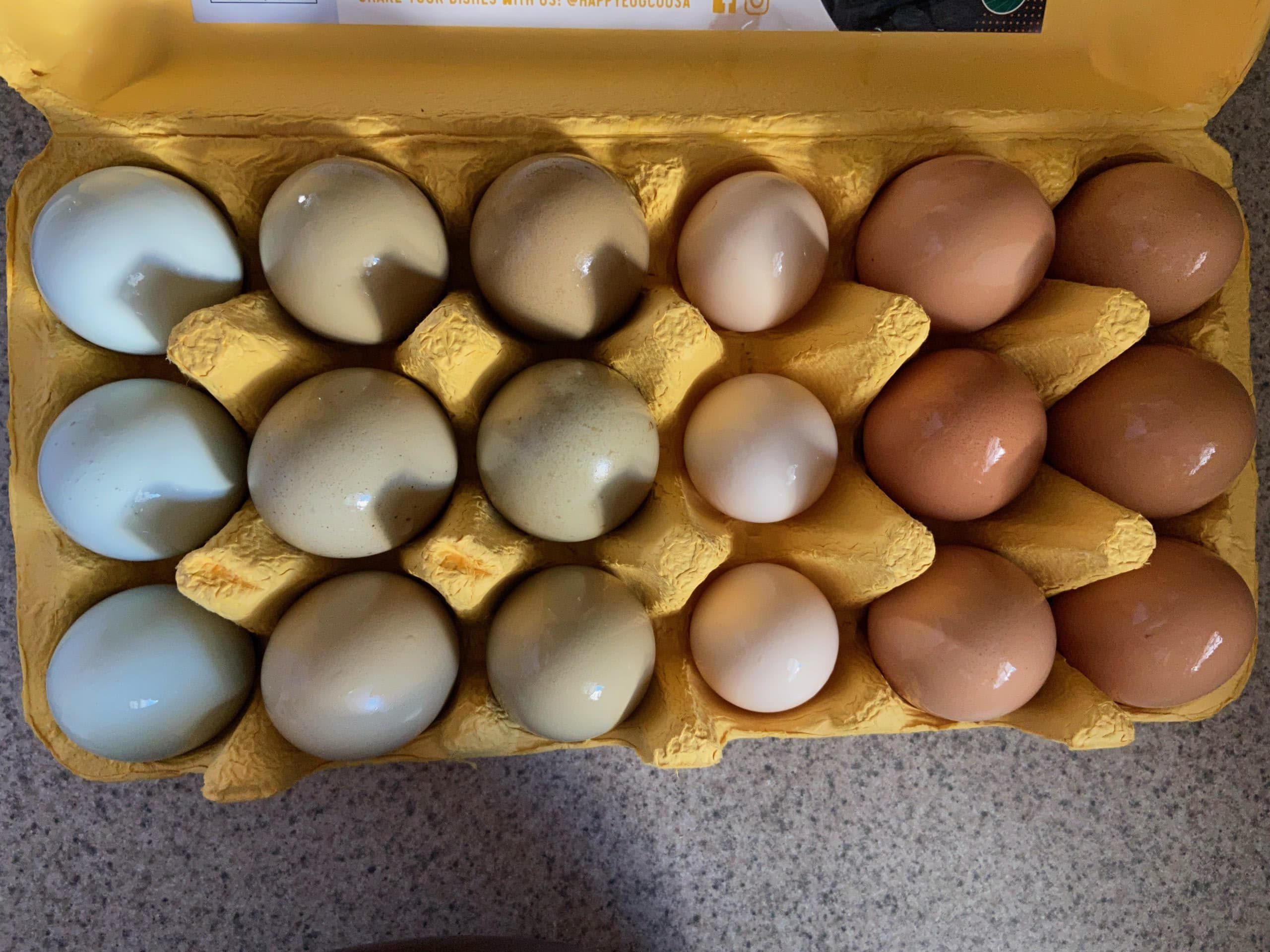 Backyard Chicken eggs